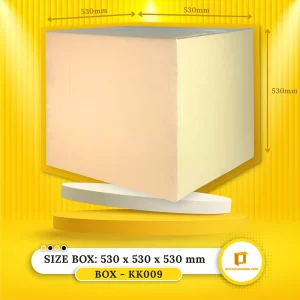 Kotak KK009 (530 X 530 X 530 mm) - Single Layer Large